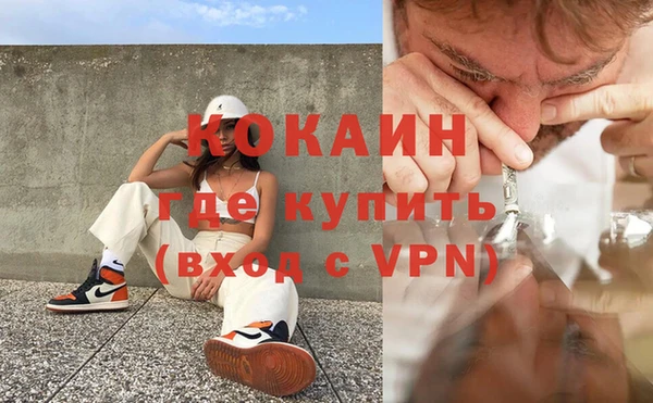молекула духа Арсеньев