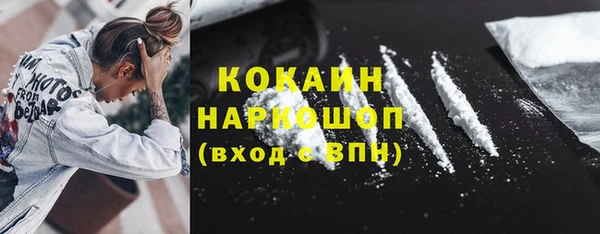молекула духа Арсеньев