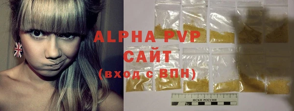 молекула духа Арсеньев