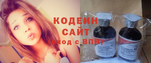 молекула духа Арсеньев