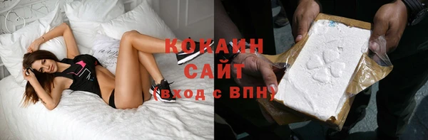 молекула духа Арсеньев