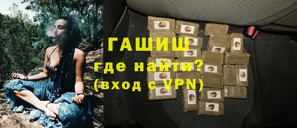 молекула духа Арсеньев