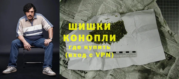 молекула духа Арсеньев